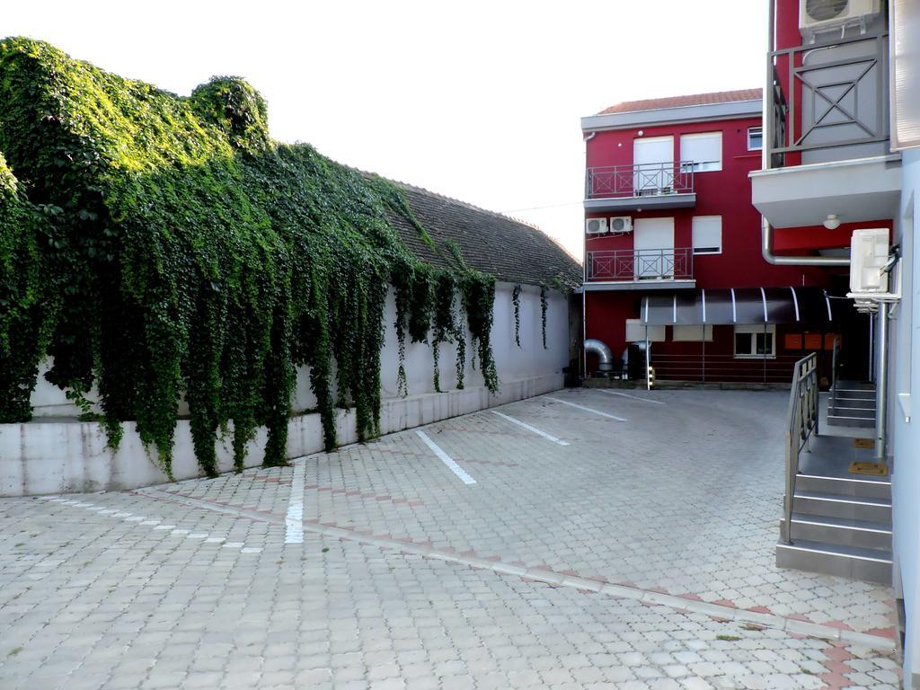 B&B Zmajevo Gnezdo 021 Sremska Kamenica Exterior foto
