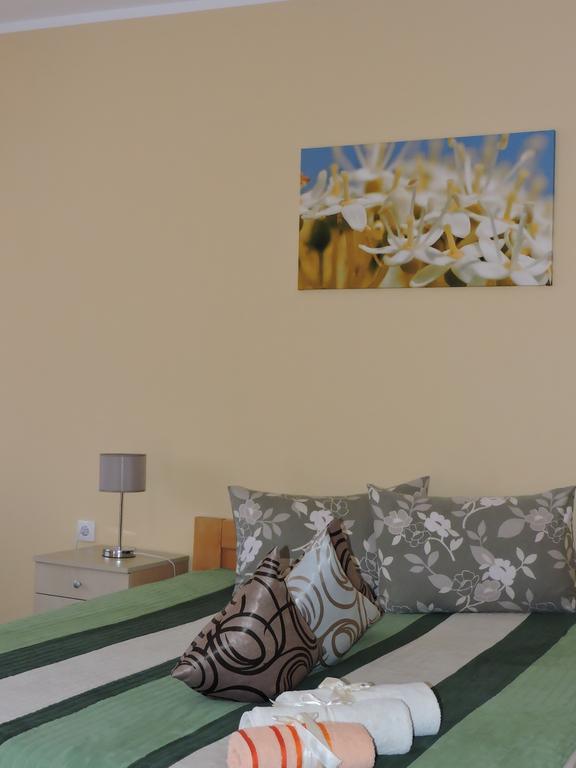 B&B Zmajevo Gnezdo 021 Sremska Kamenica Habitación foto