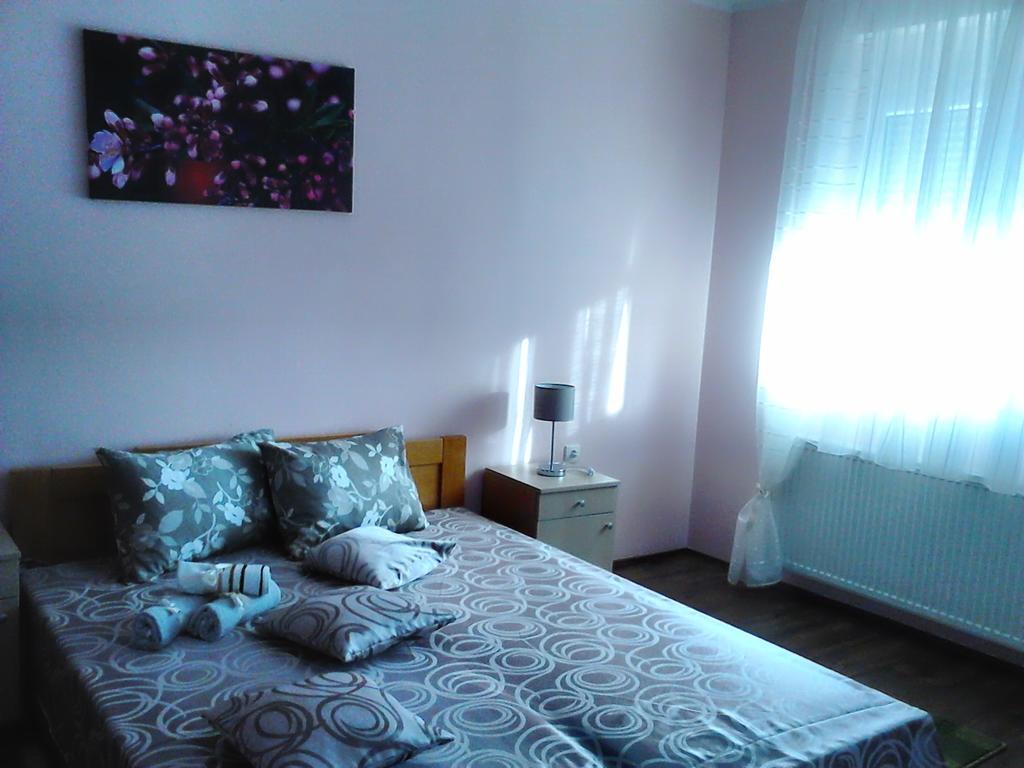 B&B Zmajevo Gnezdo 021 Sremska Kamenica Exterior foto