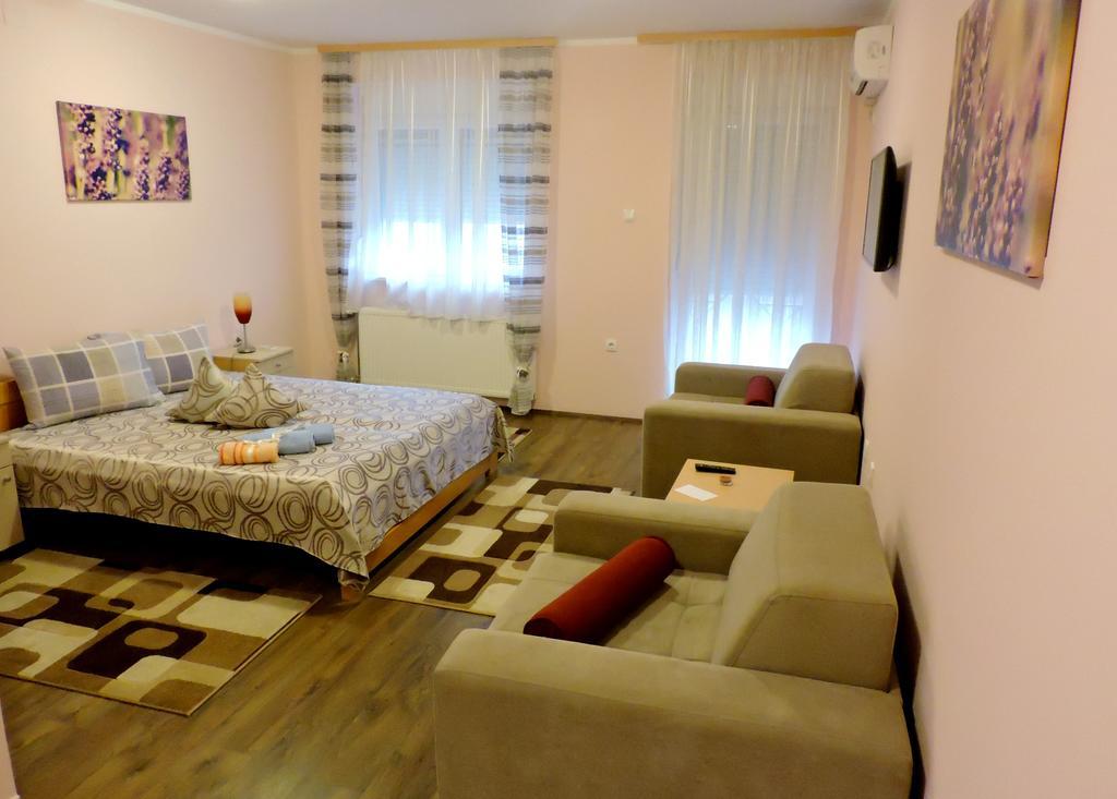 B&B Zmajevo Gnezdo 021 Sremska Kamenica Exterior foto
